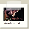 Awek - 14 - Joel Ferron - Devant Les Bois 2006