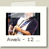 Awek - 12 - Bernard Sellam - Festival de Cognac 22.07.2009