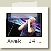 Awek - 14 - Stephane Bertolino - Festival de Cognac 22.07.2009
