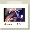Awek - 16 - Joel Ferron - Festival de Cognac 22.07.2009