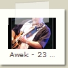 Awek - 23 - Bernard Sellam - Festival de Cognac 22.07.2009