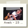 Awek - 25 - Bernard Sellam - Festival de Cognac 22.07.2009