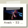 Awek - 53 - Stephane Bertolino - Festival de Cognac 22.07.2009