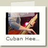 Cuban Heels - 04 - Arnoud Van de Berg - Festival de Peer 2006