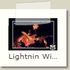 Lightnin Willie and The Poor Boys - 02 - Douzy 18.11.2000