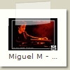 Miguel M - 16 - Damien Cornelis - Manureva