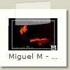 Miguel M - 29 - Damien Cornelis - Manureva