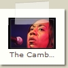The Cambell Brothers - 16 - Spring Blues Festival (Ecaussinnes) 2007