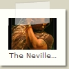 The Neville Brothers - 06 - Aaron Neville - Festival de Peer 2006